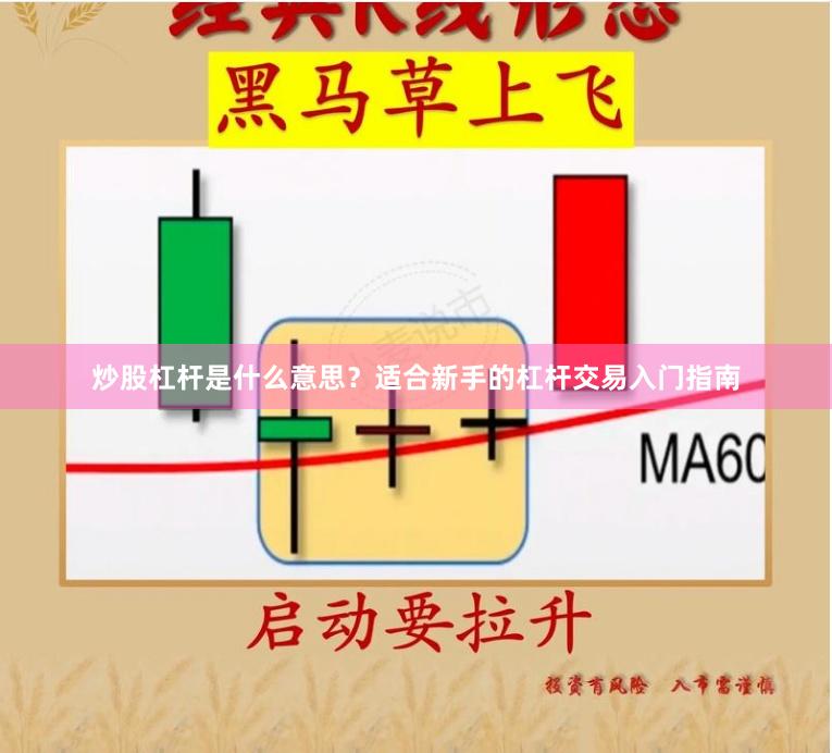 炒股杠杆是什么意思？适合新手的杠杆交易入门指南